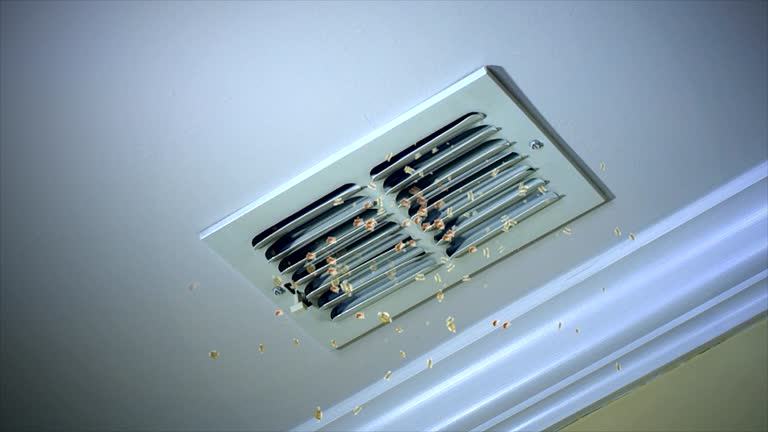 Best Air Duct Cleaning Near Me  in South Sumter, SC