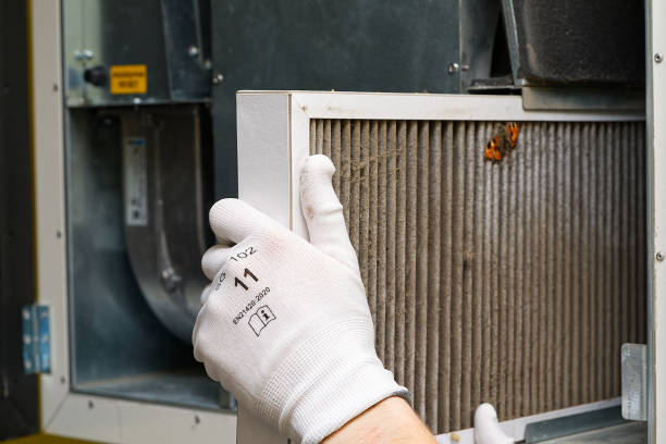 Best Ventilation Cleaning Services  in South Sumter, SC