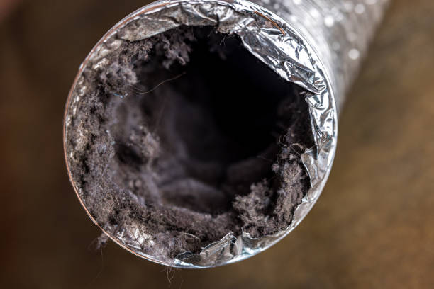 Best HVAC Duct Inspection Services  in South Sumter, SC