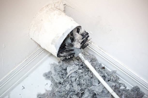 Best Air Duct Cleaning Company Near Me  in South Sumter, SC